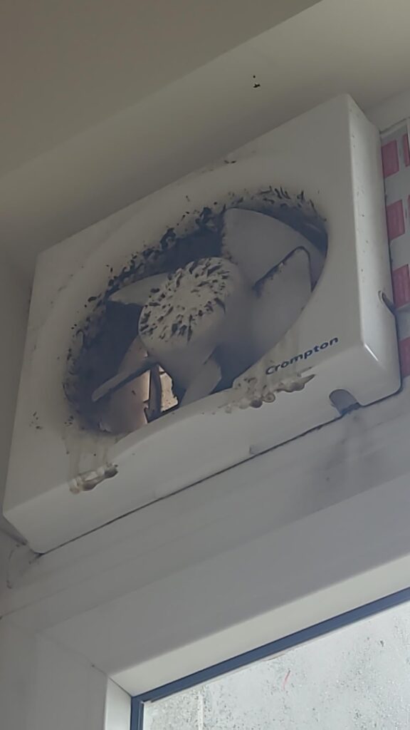 Image #1 from Rajeev Gupta