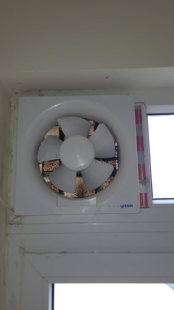 Image #2 from Rajeev Gupta