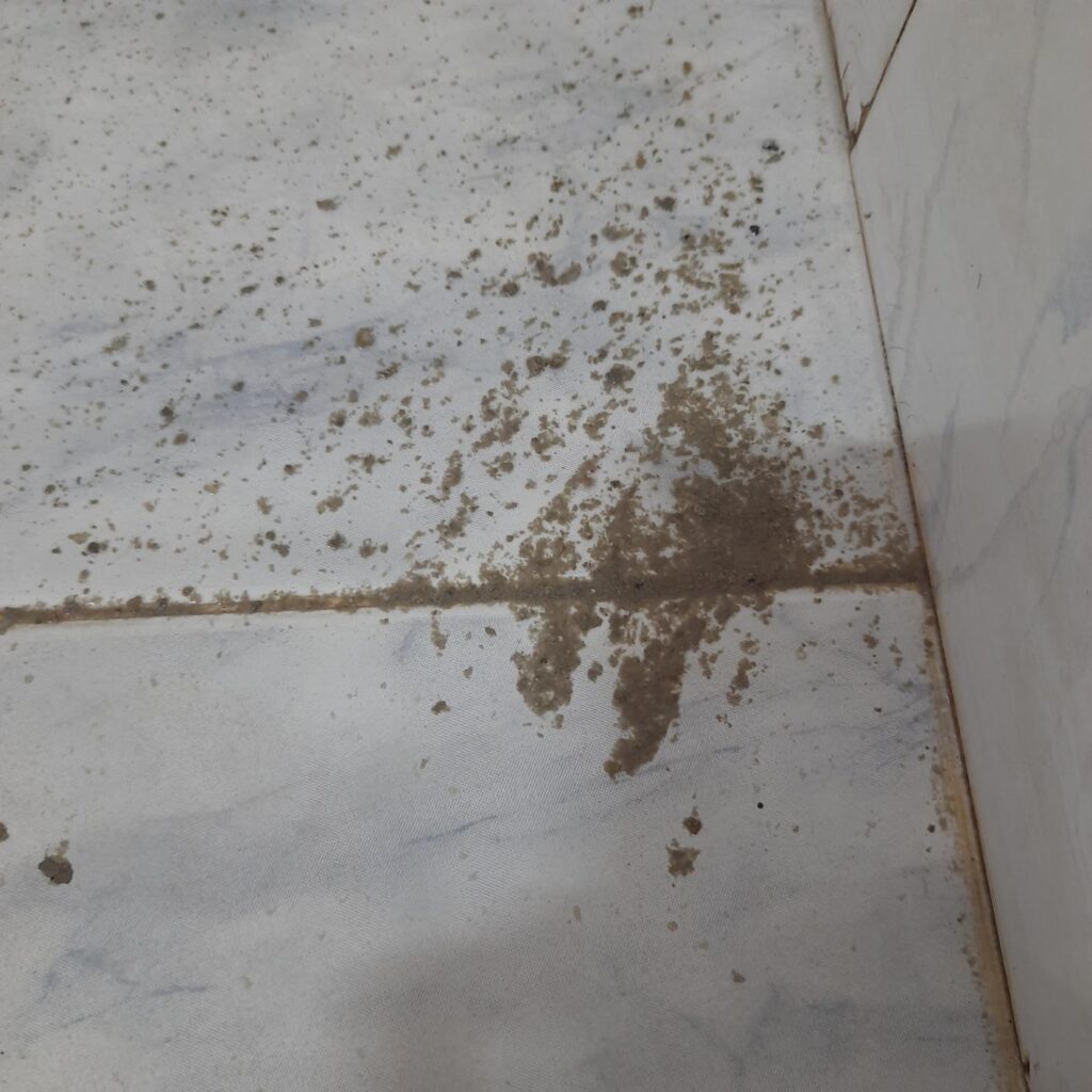 Image #2 from Shubham Shekhawat